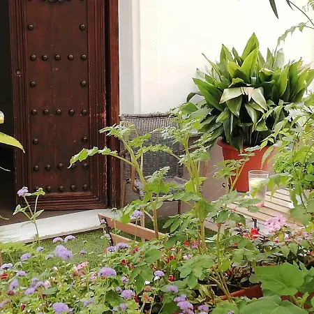 Avenida 31 ماربيا