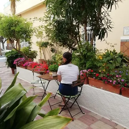 Avenida 31 מארבלה