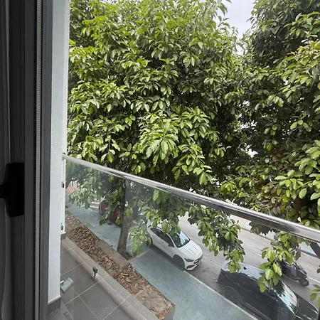 Avenida 31 Szálloda Marbella