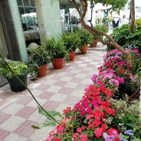 Avenida 31 Hotel