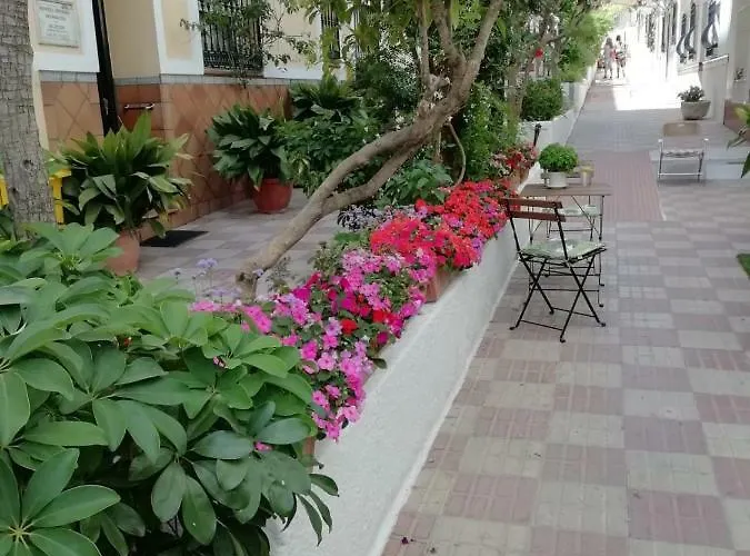 Avenida 31 2* Marbella